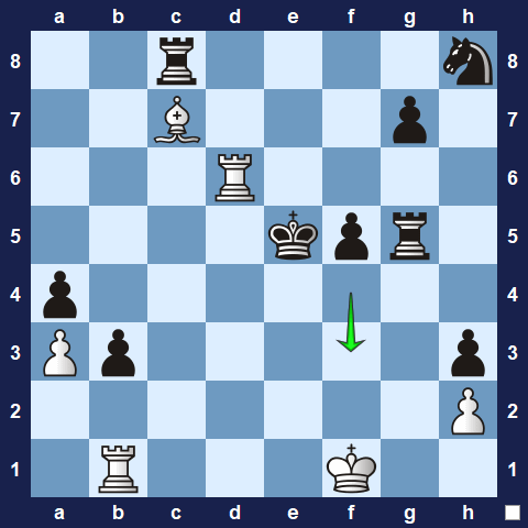 Visualwize exercise move 4