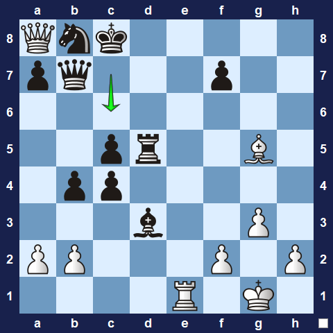 Visualwize exercise move 4